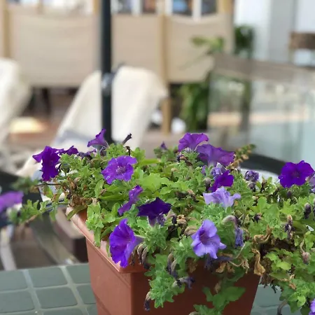 Marbella Bl.1 Apartman